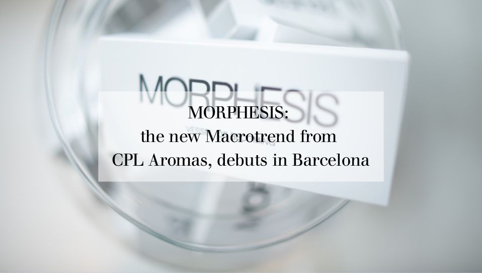 MORPHESIS